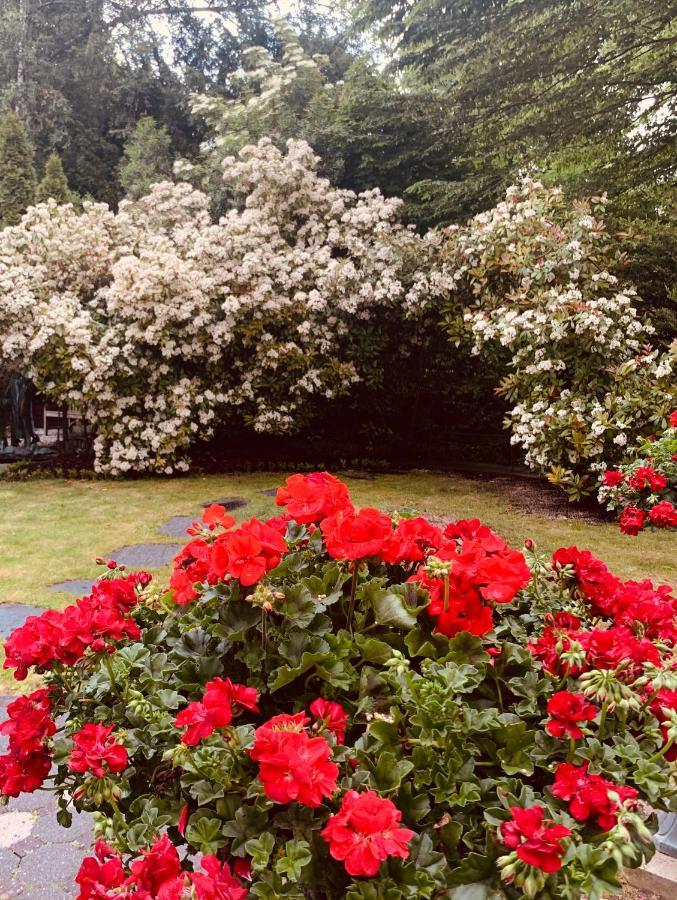 Villa Am Suedpark Bad Nauheim Εξωτερικό φωτογραφία